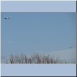 01_pr19a_ 188_cu.jpg